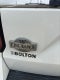 2020 Ford Expedition Max King Ranch