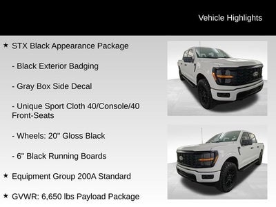 2024 Ford F-150 STX